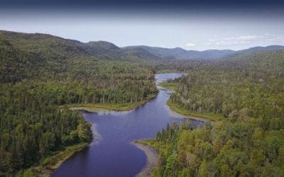 Création d&rsquo;un nouveau organisme fédéral : Réseau d&rsquo;organismes de conservation Canada (ROCC)