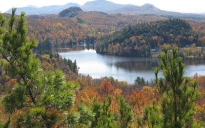 Article sur la conservation des milieux naturels du sud du Québec (Journal Le Soleil, 13 février 2014)