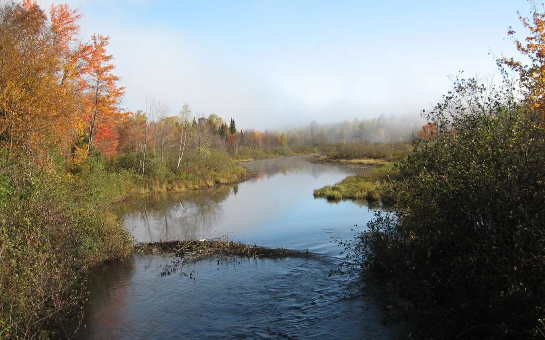 L’actualité juridique en matière de conservation