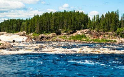 Cours en ligne gratuits sur les dons planifiés (Patrimoine Vert)