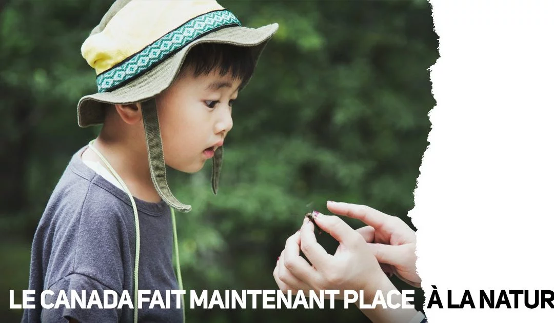 Écrivez à vos représentants gouvernementaux fédéraux