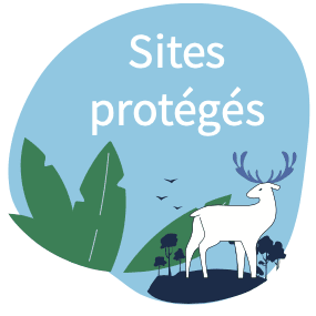 rmn_icon_sites_proteges